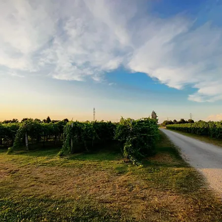 Antico Podere Emilia *