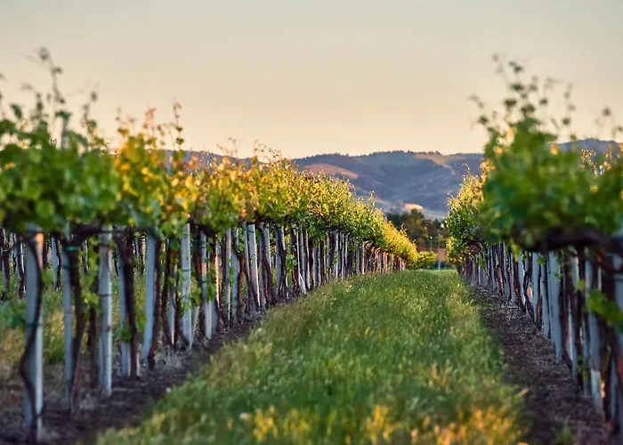 Antico Podere Emilia Reggio nell'Emilia