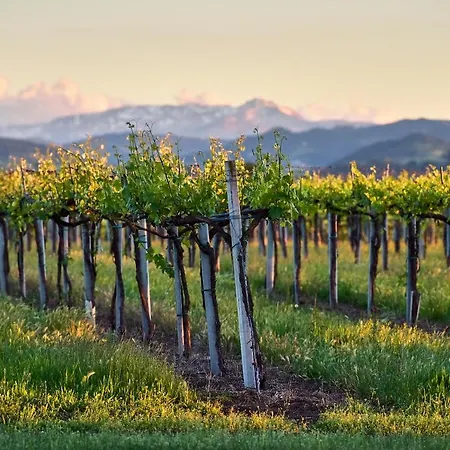 ファームステイ Antico Podere Emilia *