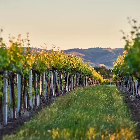 Antico Podere Emilia Реджонель-Эмилия