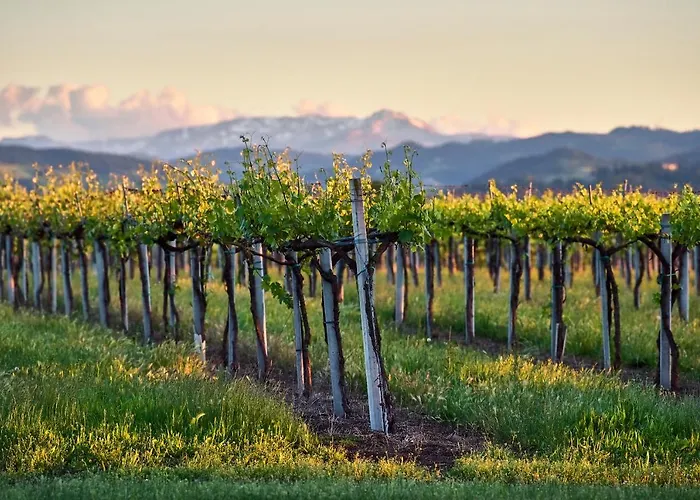 مزرعة للإقامة Antico Podere Emilia *