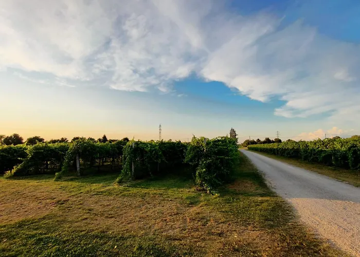 Antico Podere Emilia *